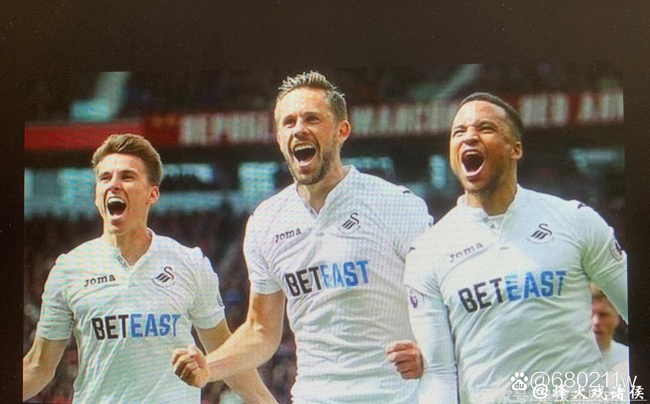 英冠分析：斯旺西 VS 普雷斯顿 斯旺西全力争胜